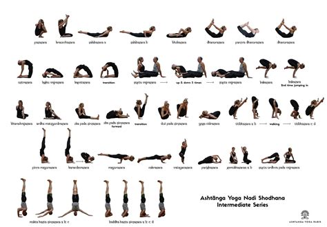 Ashtanga Vinyasa Intermediate Series | Nepal Yoga Home