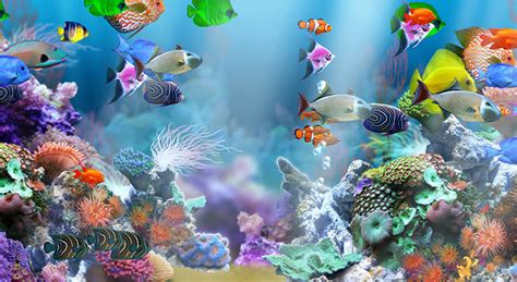 50+ Best Aquarium Backgrounds to Download & Print | Free & Premium ...