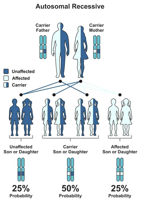 Red Hair Gene: How To Know If You Are A Carrier?