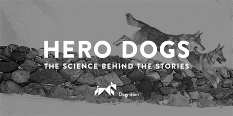 Hero Dogs: The Science Behind The Stories - Dognition