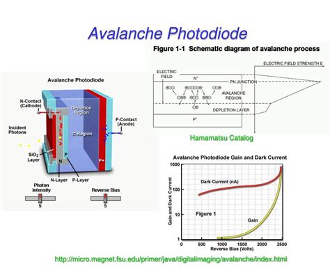 PPT - Photodiodes PowerPoint Presentation, free download - ID:3363775