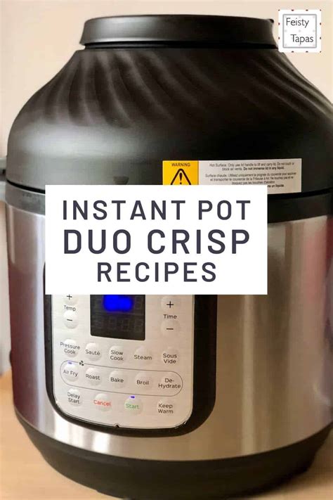 Instant Pot Duo Crisp Recipes - Feisty Tapas