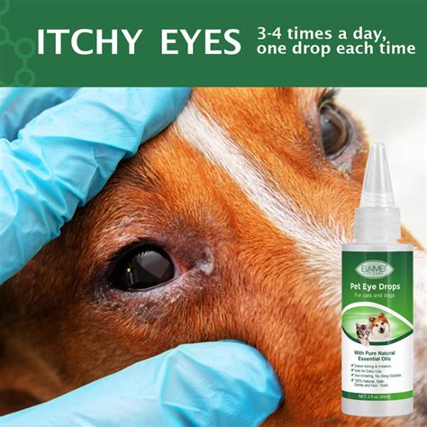 Dog Cat Conjunctivitis Eye Drops Safe And Gentle Pet Eye Drops For Travel Beach Trips Camping ...