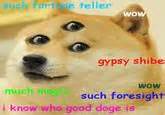 43 Doge meme ideas | doge meme, doge, funny pictures