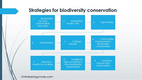 Strategies for biodiversity conservation - Online Biology Notes