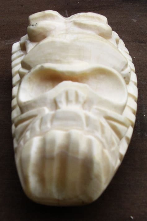 Help With Identification Of A Sperm Whale Tooth Carving - Materials - The Carving Path