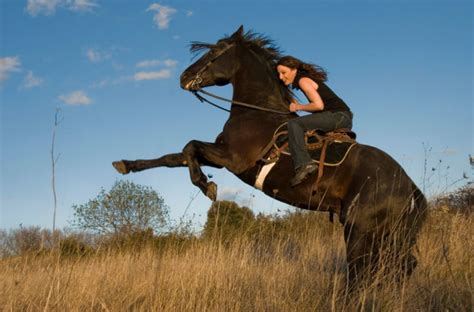 Tips To Help You Stop Your Horse From Bucking And Rearing - Horses & Foals