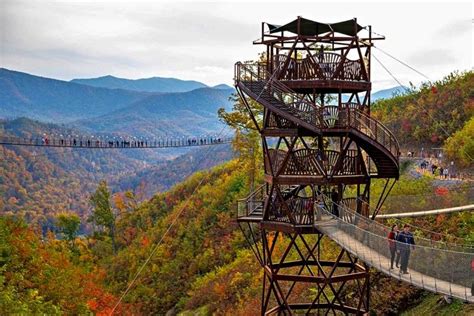 people are walking on a high walkway above the trees in the mountains with colorful foliage