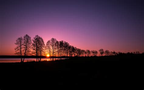 landscape, Nature, Silhouette, Trees, Clear Sky, Sunset, Evening, Lake Wallpapers HD / Desktop ...