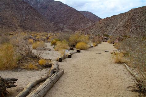 Anza Borrego Palm Canyon Trail Guide | Outdoor SoCal