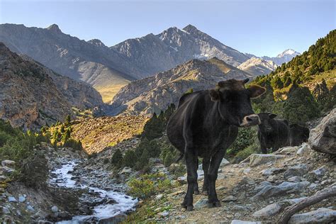 Kichi-Alay Valley | Trip to Kyrgyzstan