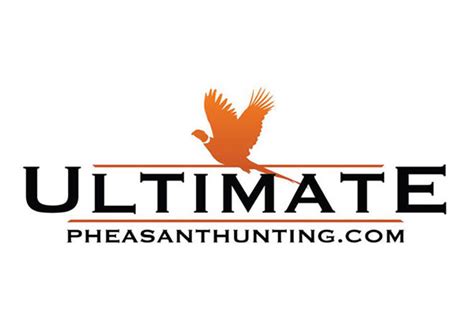 Pheasant Hunting Logo Design | Professional Logo Designers | 3plains.com