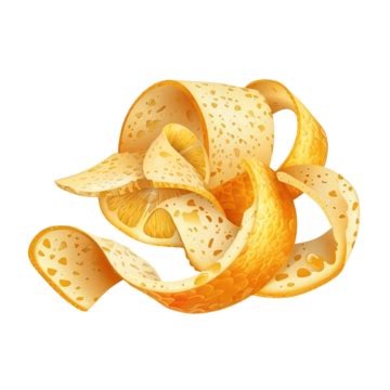 Orange Peel Detailed Illustration Isolated, Orange, Fruit, Peel PNG Transparent Image and ...