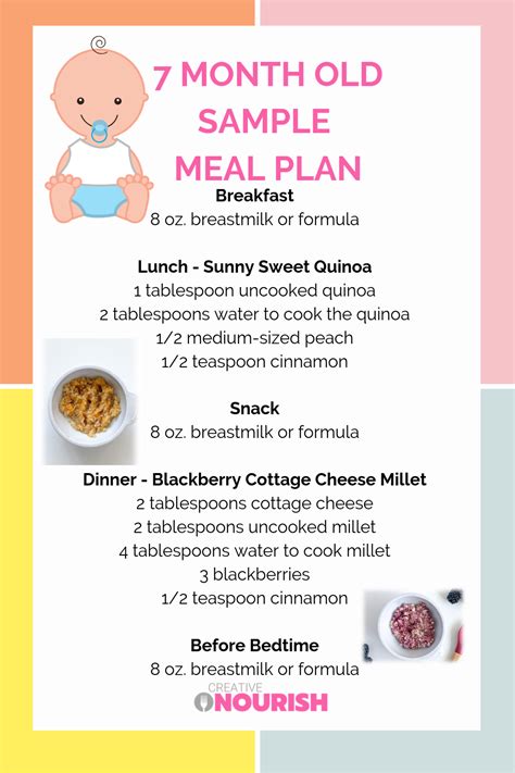 7 month old baby meal plan:) Nutritionist created and approved to provide nutritionally balanced ...