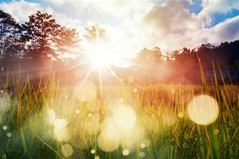 Sonnenlicht: So wirkt es auf Ihre Psyche