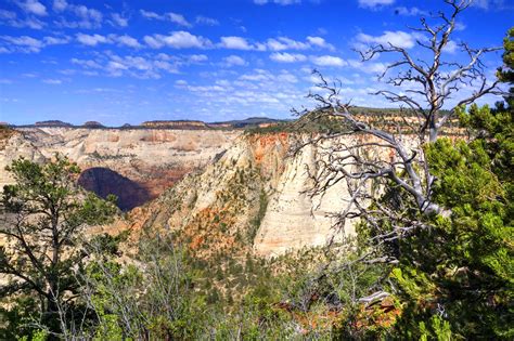 10 Best Hiking Trails in Zion National Park - Hike up Your Backpack and ...