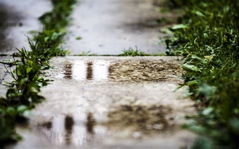 Wallpaper : 2560x1600 px, bokeh, macro, puddle, rain, reflection, water ...