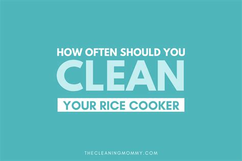 Learn How to Clean A Rice Cooker the Right Way! - The Cleaning Mommy