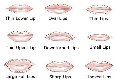 Study Reveals that Our Lips can Say Something About Our Personality ...