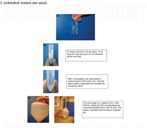 Figure 1 from Colloids: Applications in Sperm Preparation for Assisted Reproduction | Semantic ...