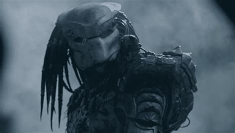 Predator Png