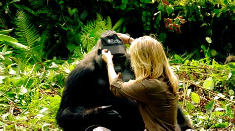 Video shows conservationist Damian Aspinall introducing his wife to ...