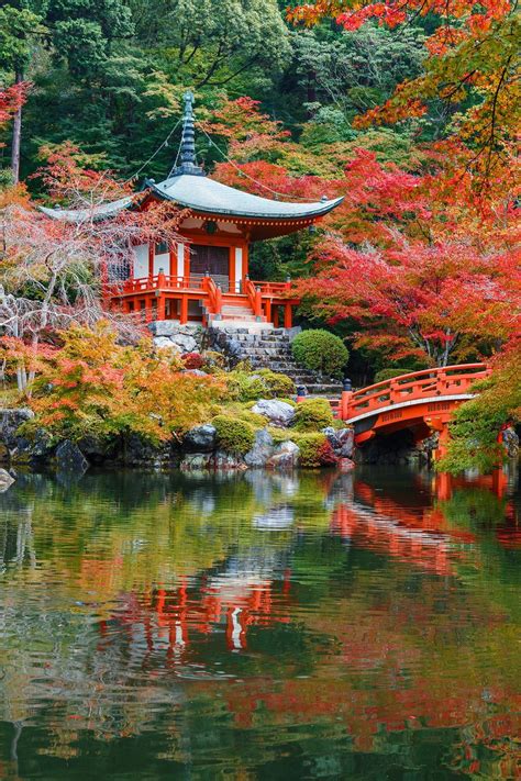 Why Do Leaves Change Color in Autumn? | Paysage magnifique japon, Japon ...