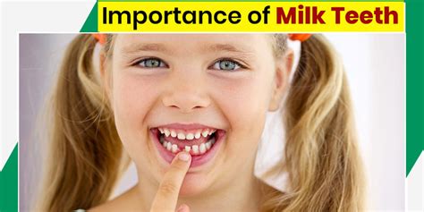 Know About The Importance And Functions Of Milk Teeth From A Dentist ...