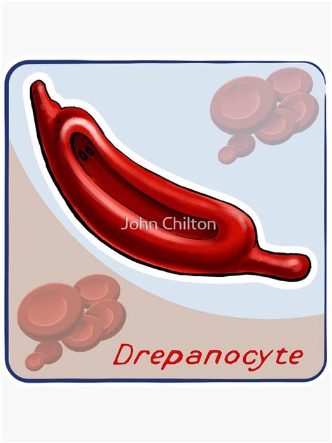 "Drepanocyte" Sticker for Sale by DrawnToTheSea | Redbubble