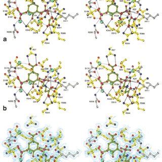 Equilibrium-ordered mechanism of EPSP Synthase (Modified from [85 ...