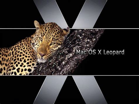 Mac OS X Leopard Wallpapers - Wallpaper Cave