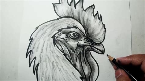 How To Draw A Chicken Head Easy - pic-connect