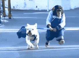 Dog GIFs - Find & Share on GIPHY