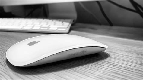 Apple Magic Mouse Not Working? Here's How to Fix It