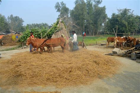 Bangladesh - Bangladesh Ecotours