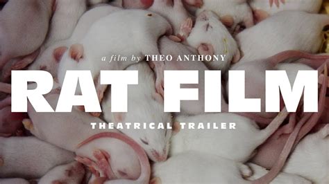 RAT FILM a film by Theo Anthony • Theatrical Trailer - YouTube