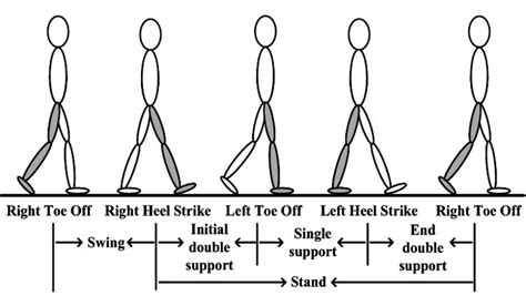 Recognizing Parkinsonian Gait Pattern | Prof Tao Gu's homepage