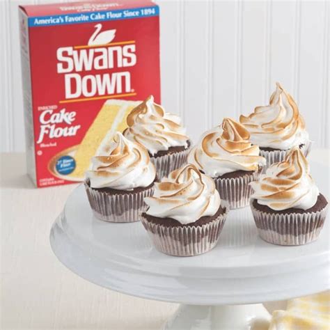 S'mores Cupcakes Recipes for a Taste of Summer Fun – Swans Down® Cake Flour | Swans down cake ...