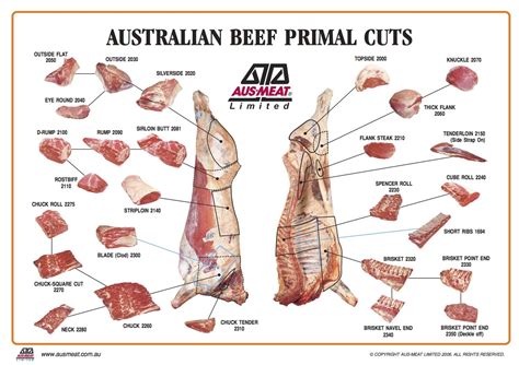 Australian Beef Primal Cuts – MIDLEVEL