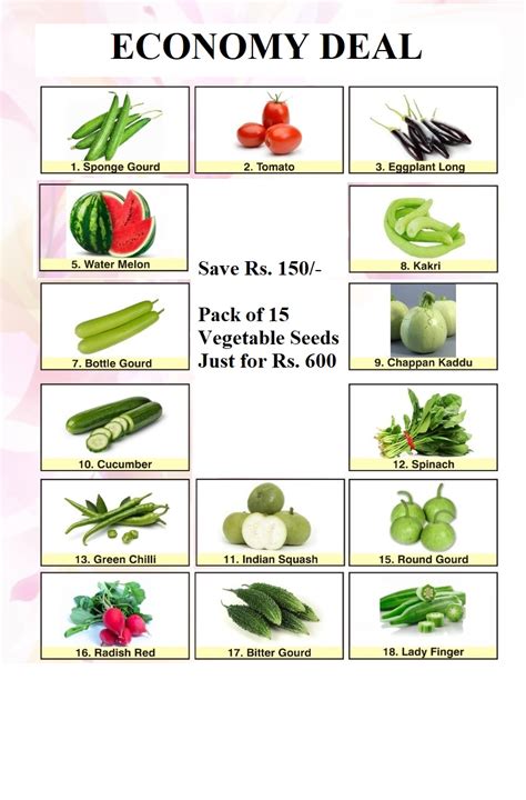 Deal of 15 Vegetable Seeds | Sunny View Seeds | Buy Seeds, Bulbs, Fertilizers, Garden ...