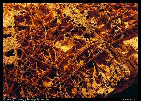 Picture/Photo: Boxwork ceilling cave formation. Wind Cave National Park