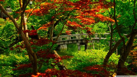 Kyoto Japanese Garden - High Resolution Zen Garden (#910743) - HD ...