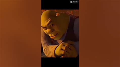 Shrek meme rizz - YouTube