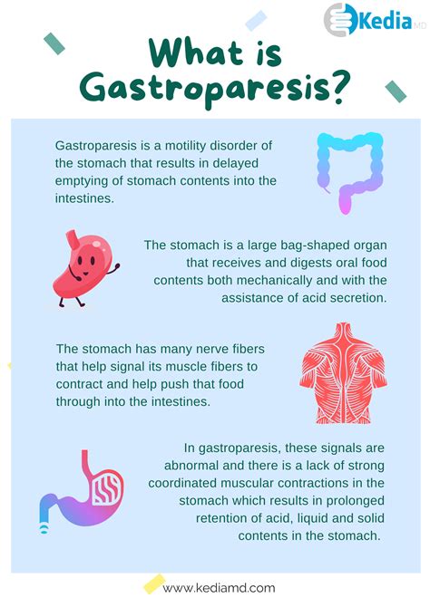 What is Gastroparesis Symptoms, Causes & Treatment in Dallas Texas