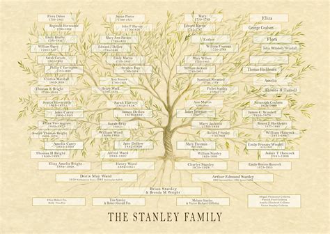 How To Read A Family Tree Chart - Image to u