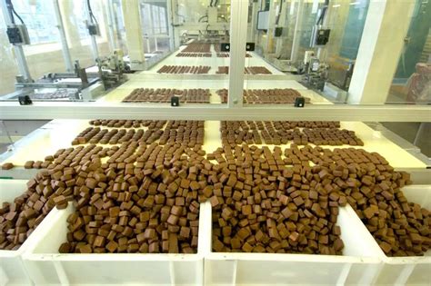 What working in a chocolate factory is really like - Grimsby Live