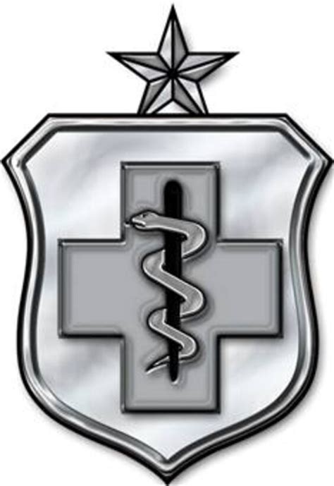 Senior Enlisted Medical Badge-Stylized