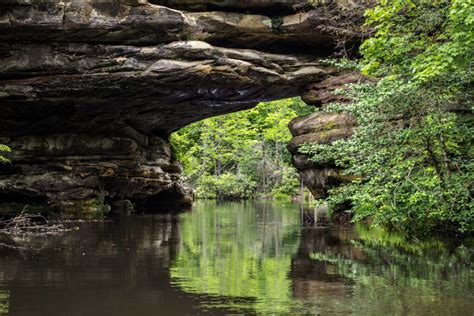 Tennessee State Park Map: Plan Your Outdoor Getaway