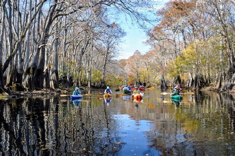 Ebenezer Creek Paddle — Georgia Conservancy