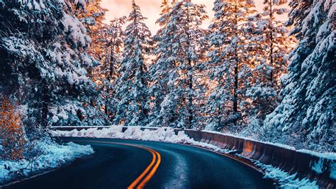 Road Trees Winter 4k Wallpaper,HD Nature Wallpapers,4k Wallpapers,Images,Backgrounds,Photos and ...